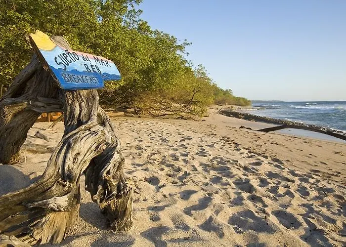 Hotel Sueno Del Mar Beachfront Tamarindo