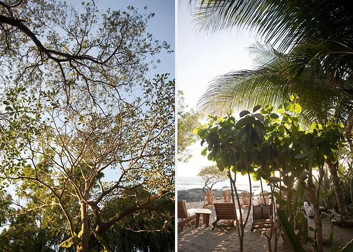 Hotel Sueno Del Mar Beachfront