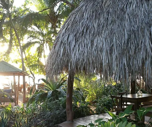 Sueno Del Mar Beachfront Hotel Tamarindo